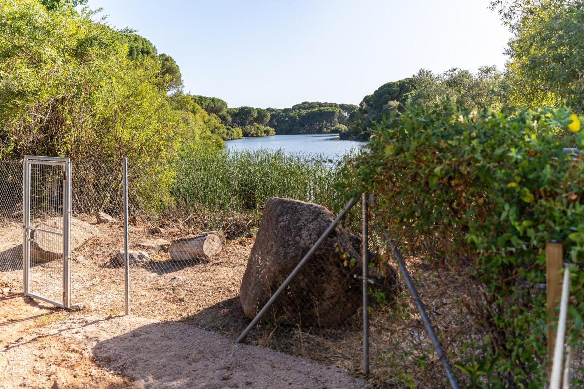 Casa El Lago Alojamiento Rural Las Jaras エクステリア 写真