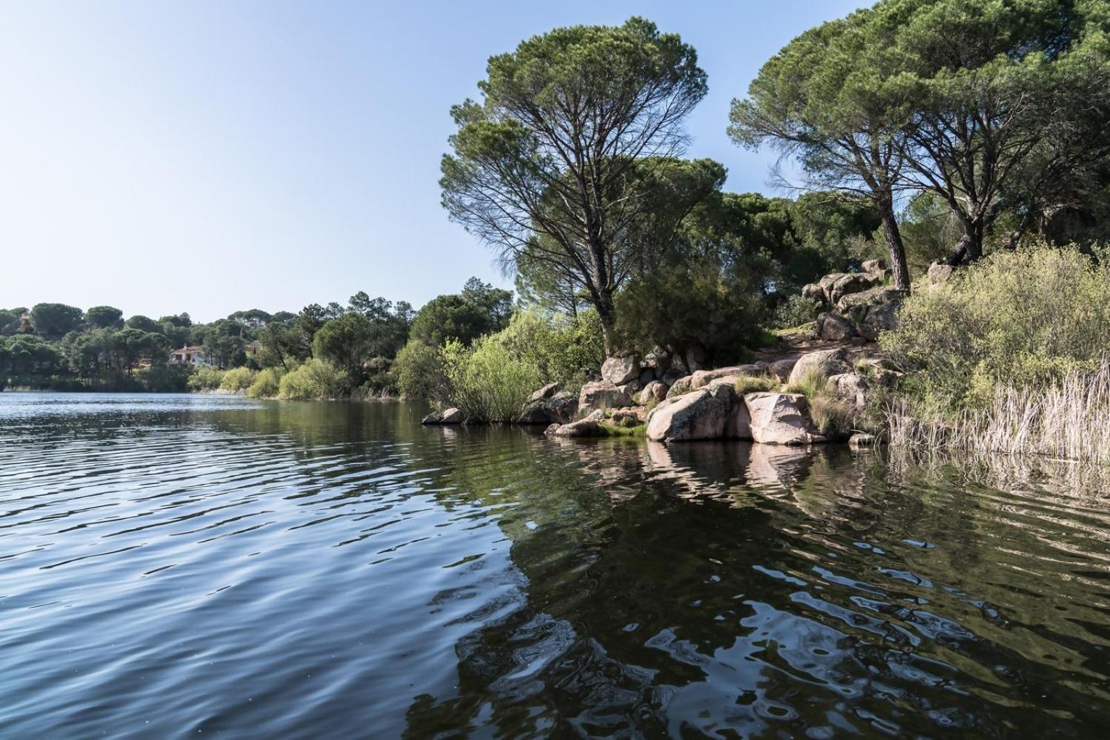 Casa El Lago Alojamiento Rural Las Jaras エクステリア 写真